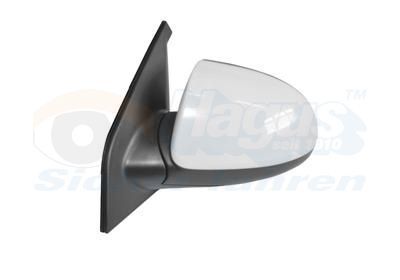 Išorinis veidrodėlis VAN WEZEL 8313803