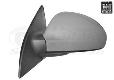 Išorinis veidrodėlis VAN WEZEL 8353817