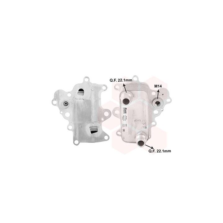 Alyvos aušintuvas, variklio alyva VAN WEZEL 01013701