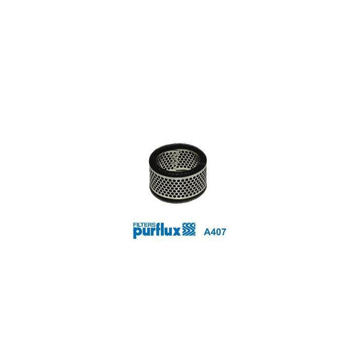Oro filtras PURFLUX A407