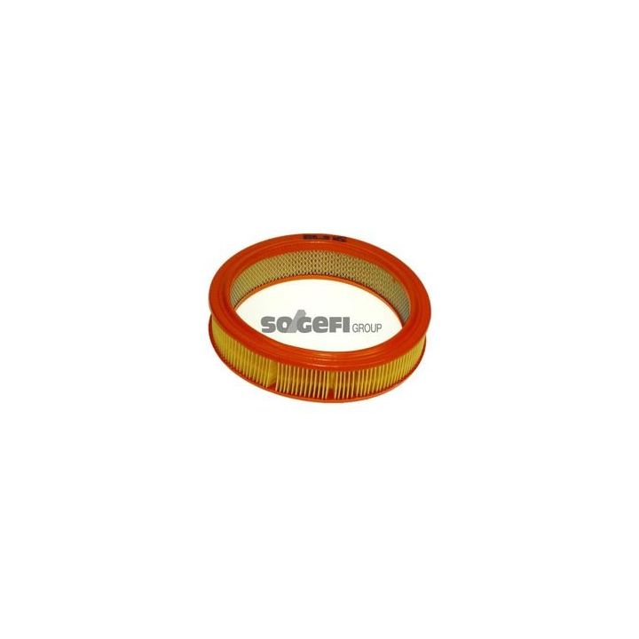 Oro filtras PURFLUX A452