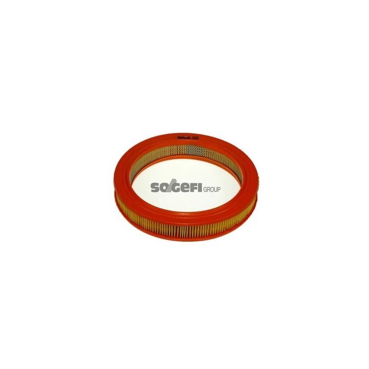 Oro filtras PURFLUX A586