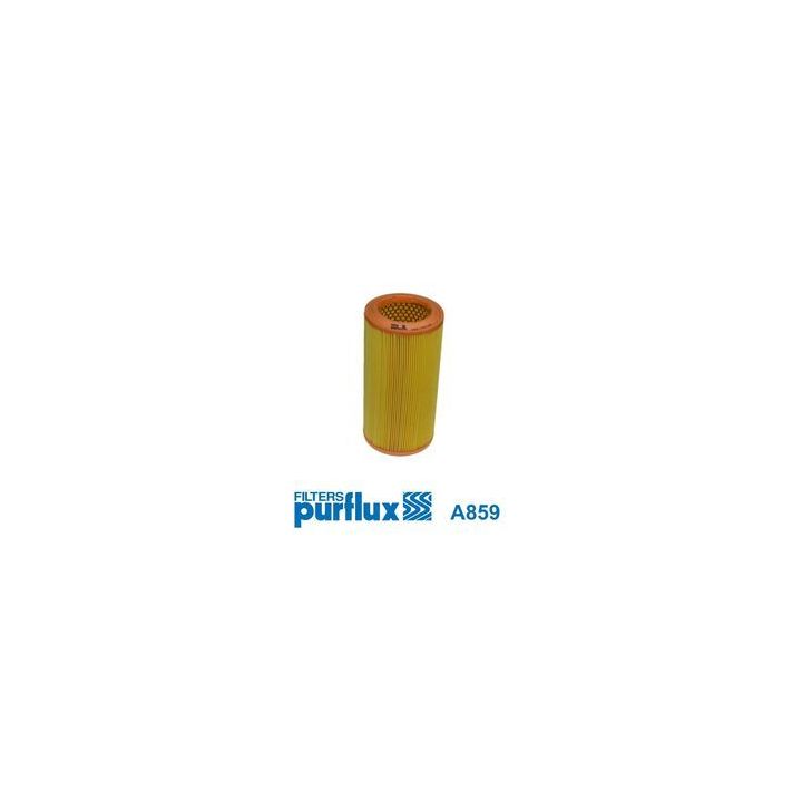 Oro filtras PURFLUX A859