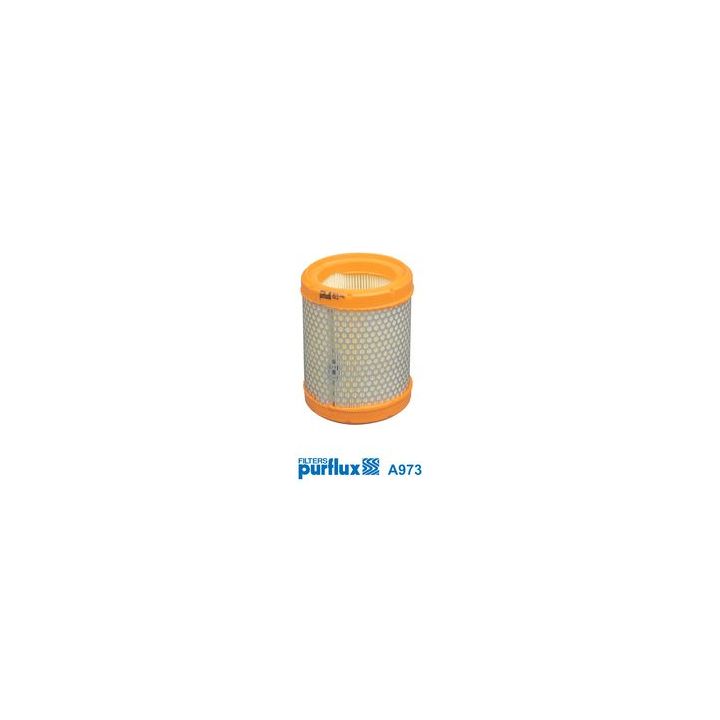 Oro filtras PURFLUX A973