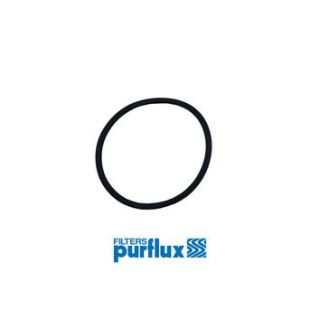 Hidraulinis filtras, automatinė transmisija PURFLUX TFK-SE0008