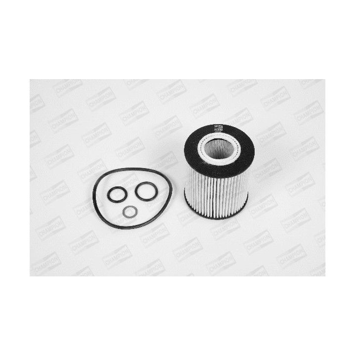 Alyvos filtras CHAMPION XE544/606