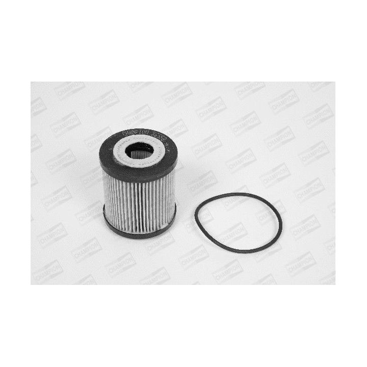 Alyvos filtras CHAMPION XE558/606