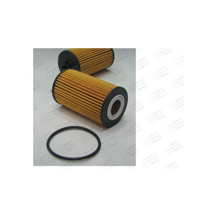 Alyvos filtras CHAMPION XE559/606