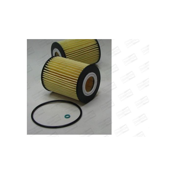 Alyvos filtras CHAMPION XE566/606