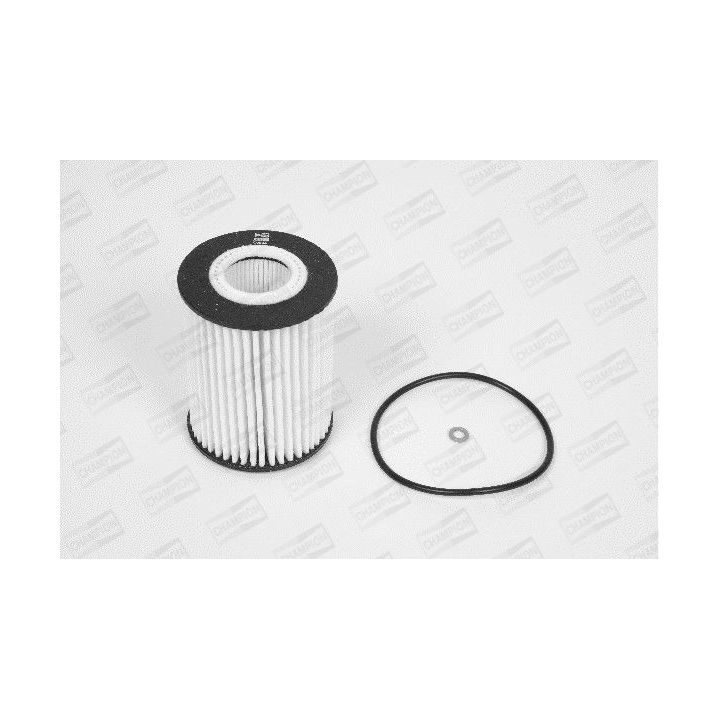 Alyvos filtras CHAMPION XE566/606