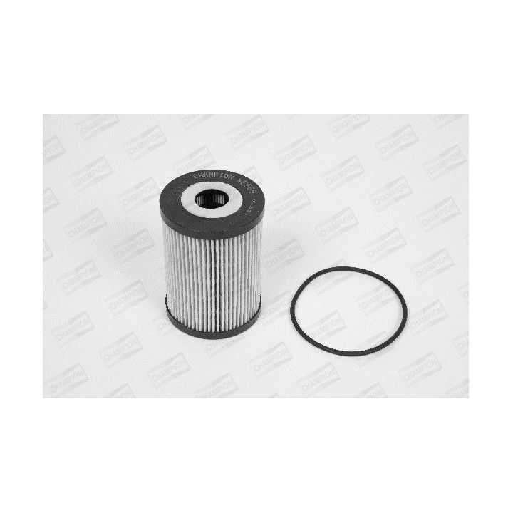 Alyvos filtras CHAMPION XE569/606