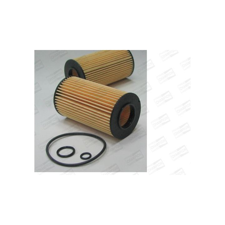 Alyvos filtras CHAMPION XE572/606