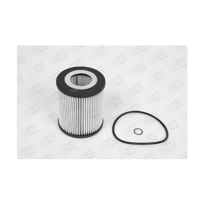Alyvos filtras CHAMPION XE573/606