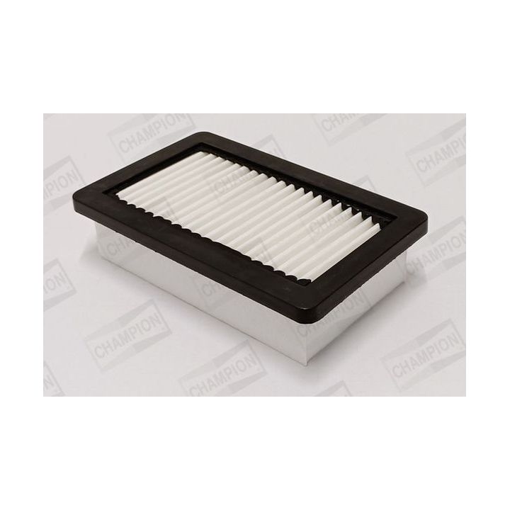 Oro filtras CHAMPION CAF101231P