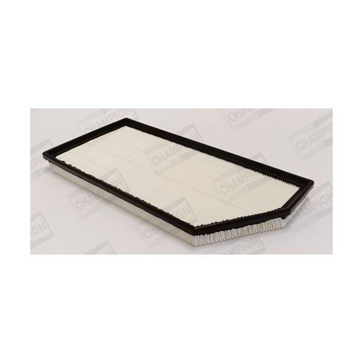 Oro filtras CHAMPION CAF101232P