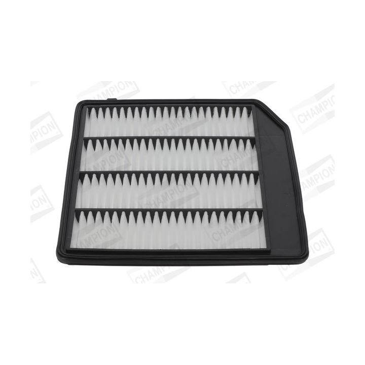 Oro filtras CHAMPION CAF101234P