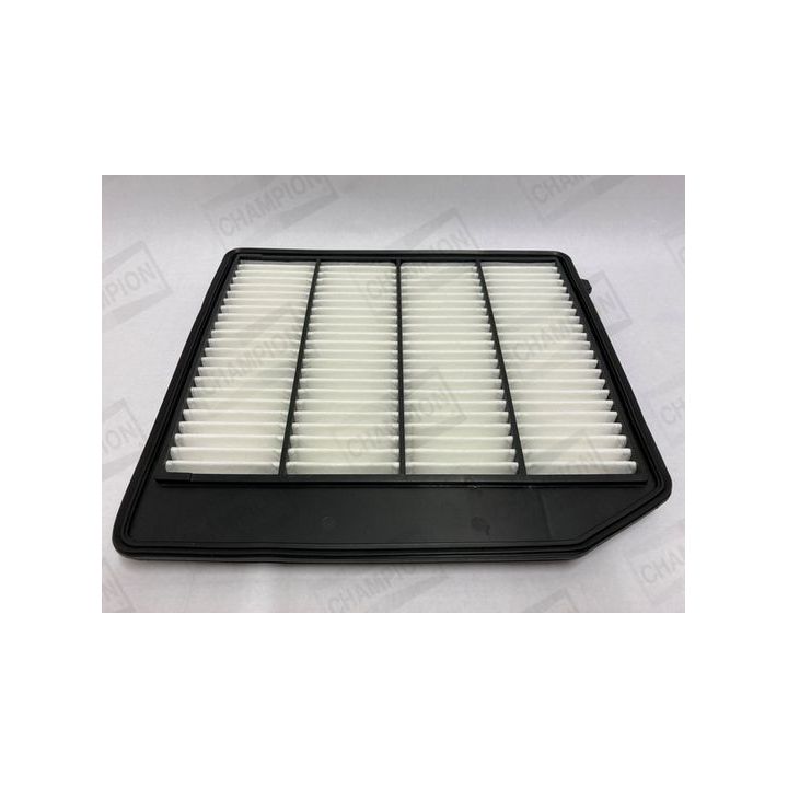 Oro filtras CHAMPION CAF101234P