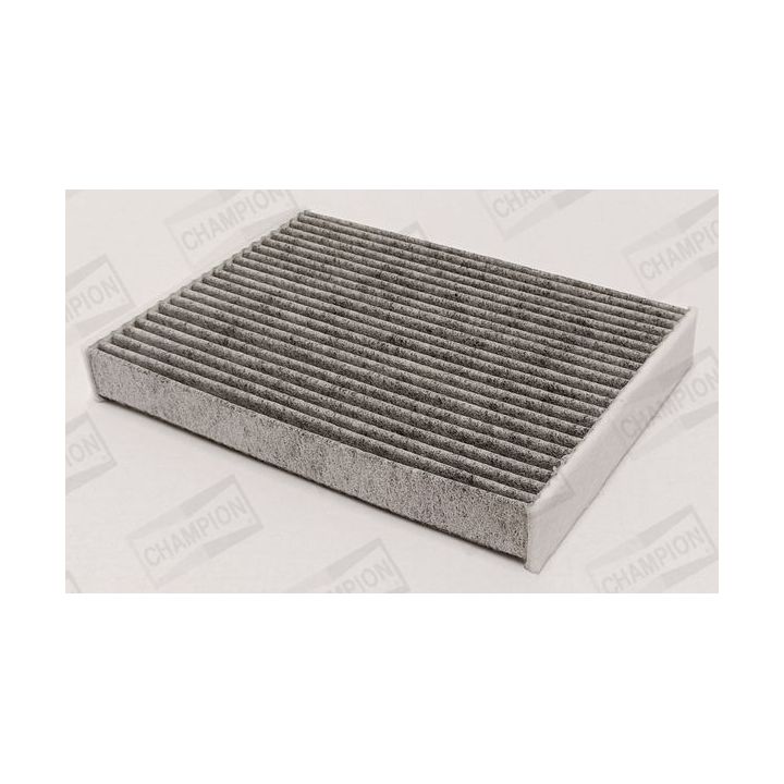Filtras, salono oras CHAMPION CCF0490C