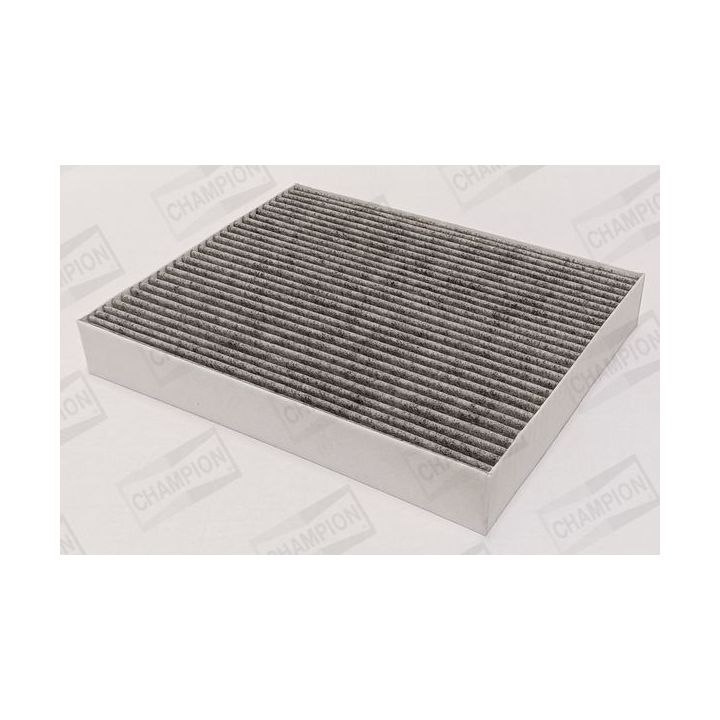 Filtras, salono oras CHAMPION CCF0518C