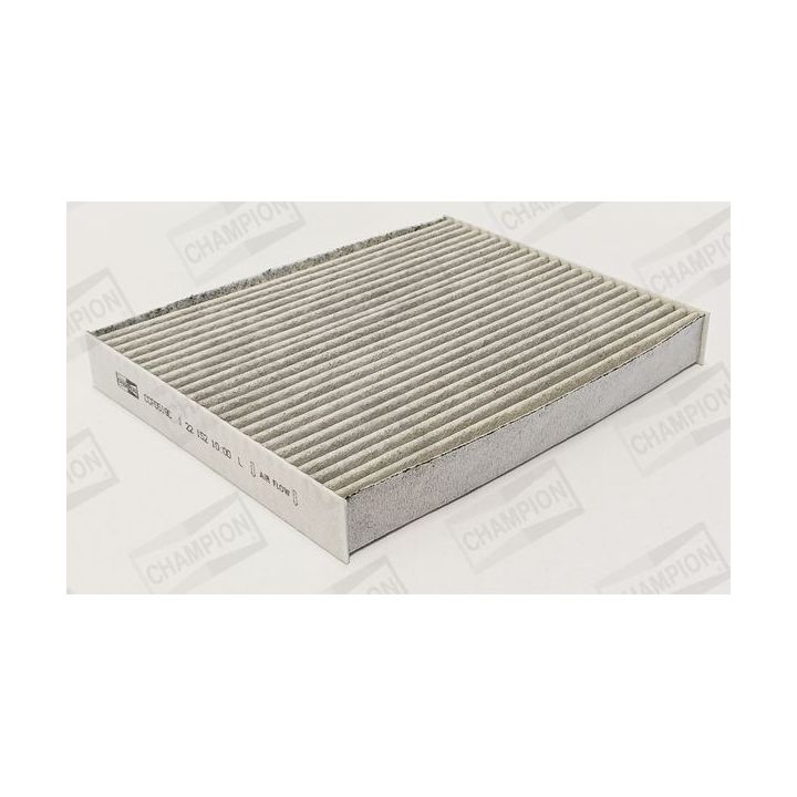 Filtras, salono oras CHAMPION CCF0519C