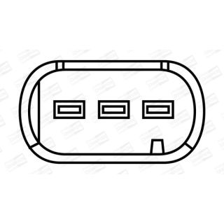 Ritė, uždegimas CHAMPION BAEA385