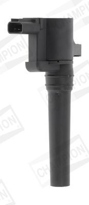 Ritė, uždegimas CHAMPION BAEA388