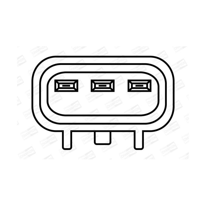 Ritė, uždegimas CHAMPION BAEA388