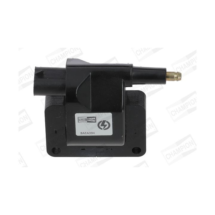 Ritė, uždegimas CHAMPION BAEA394