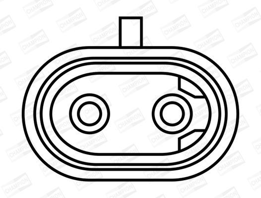 Ritė, uždegimas CHAMPION BAEA394
