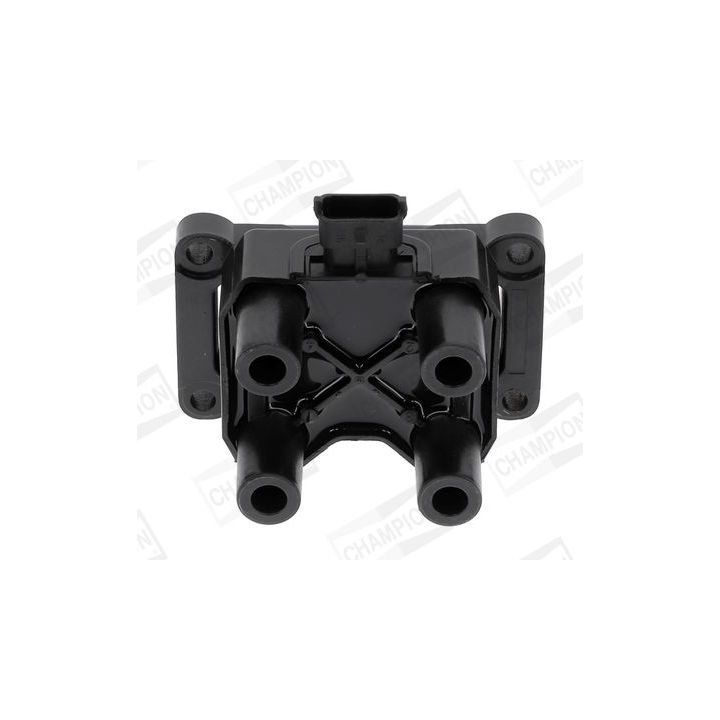 Ritė, uždegimas CHAMPION BAEA395