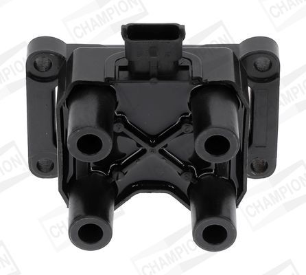 Ritė, uždegimas CHAMPION BAEA395