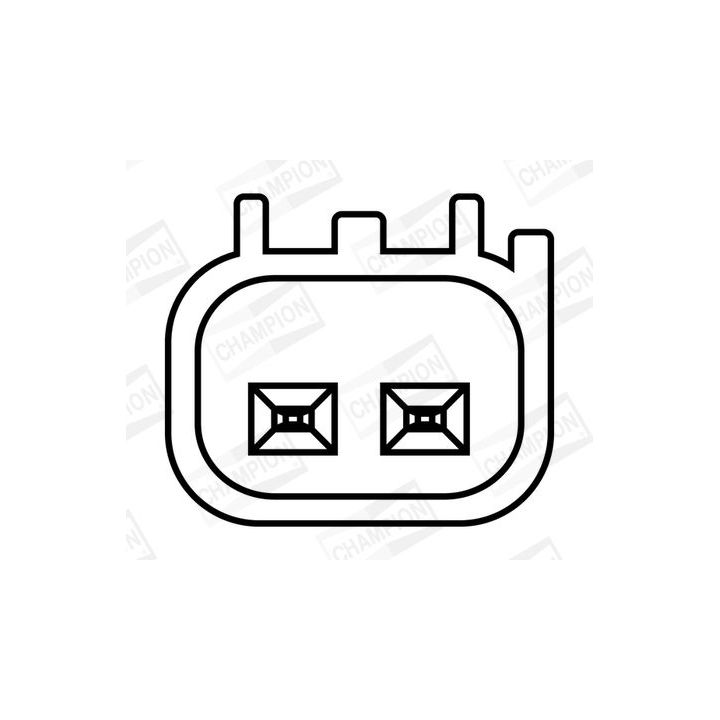 Ritė, uždegimas CHAMPION BAEA408