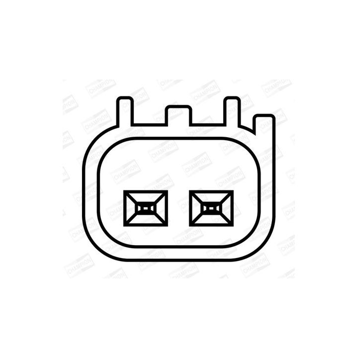 Ritė, uždegimas CHAMPION BAEA409