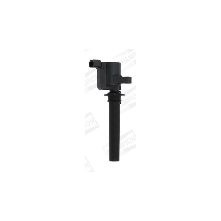 Ritė, uždegimas CHAMPION BAEA410