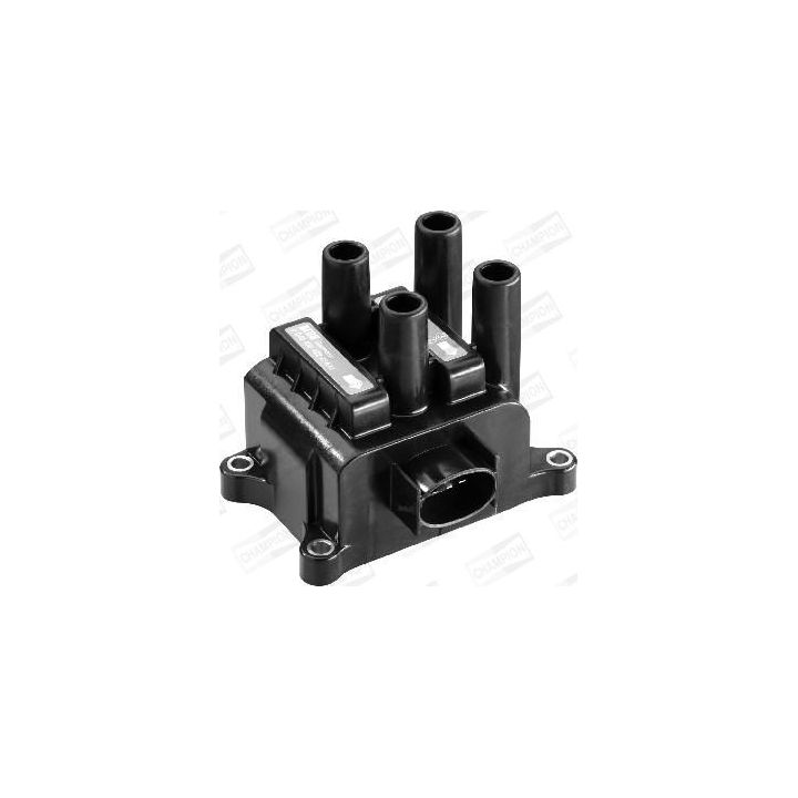 Ritė, uždegimas CHAMPION BAEA422