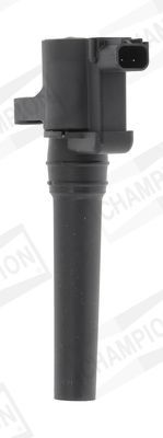 Ritė, uždegimas CHAMPION BAEA426