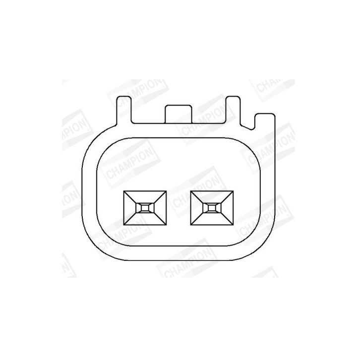 Ritė, uždegimas CHAMPION BAEA426