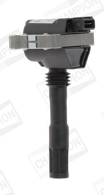 Ritė, uždegimas CHAMPION BAEA428