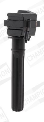 Ritė, uždegimas CHAMPION BAEA432