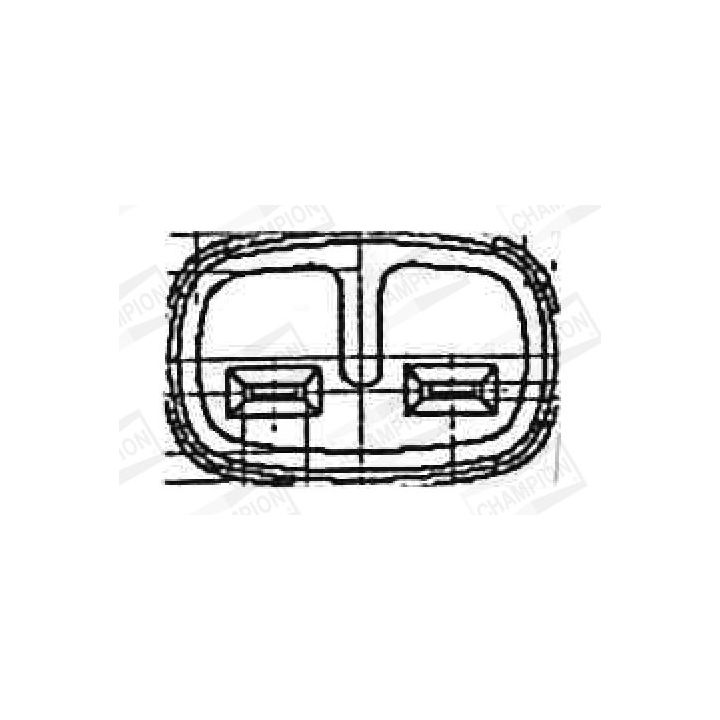 Ritė, uždegimas CHAMPION BAEA433