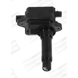 Ritė, uždegimas CHAMPION BAEA434