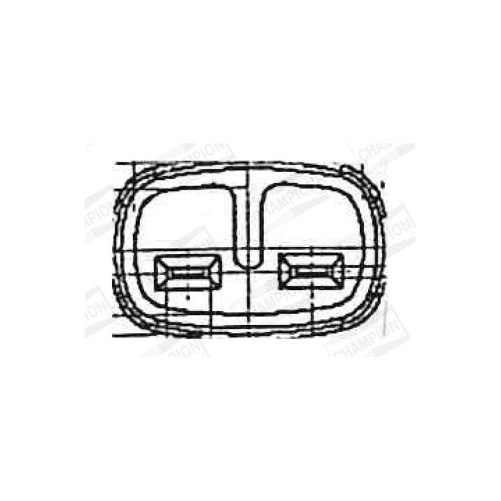 Ritė, uždegimas CHAMPION BAEA434