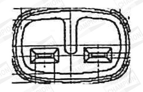 Ritė, uždegimas CHAMPION BAEA434