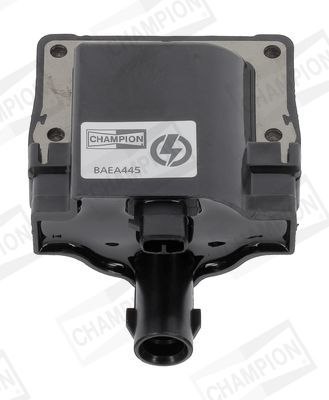 Ritė, uždegimas CHAMPION BAEA445