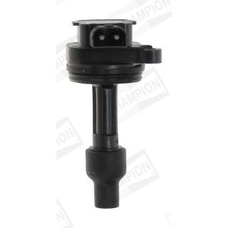 Ritė, uždegimas CHAMPION BAEA446