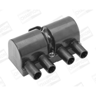 Ritė, uždegimas CHAMPION BAEA447A