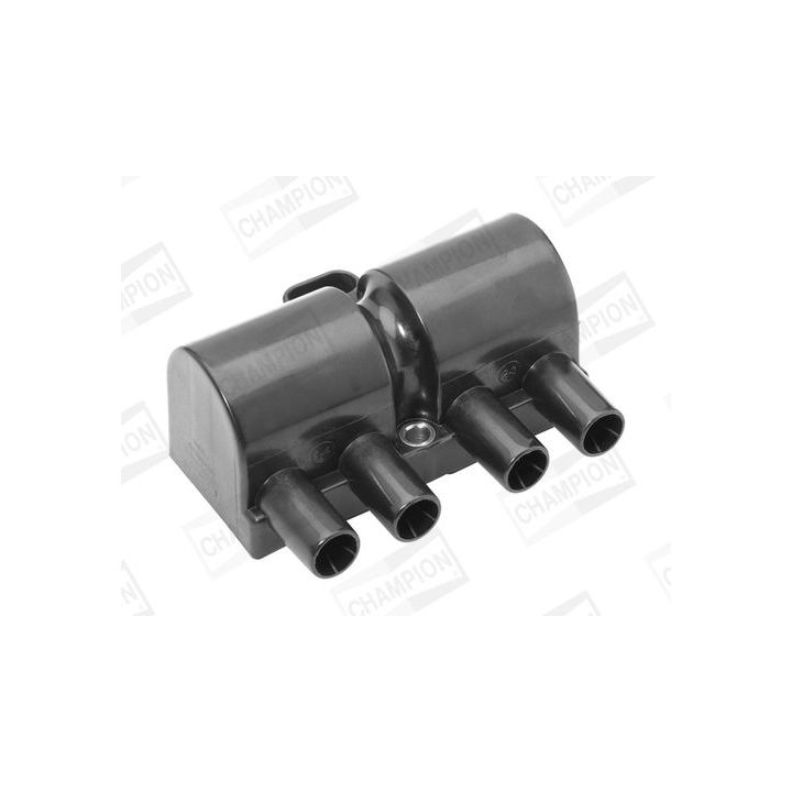 Ritė, uždegimas CHAMPION BAEA447A