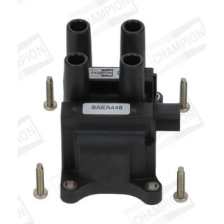 Ritė, uždegimas CHAMPION BAEA448