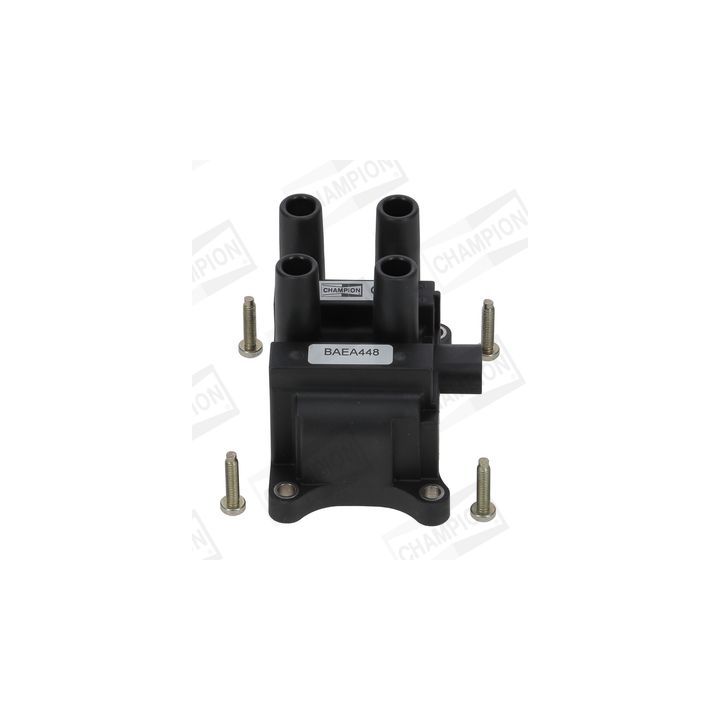 Ritė, uždegimas CHAMPION BAEA448