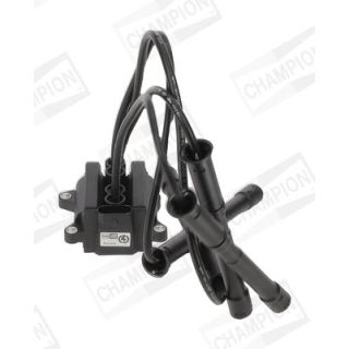 Ritė, uždegimas CHAMPION BAEA454